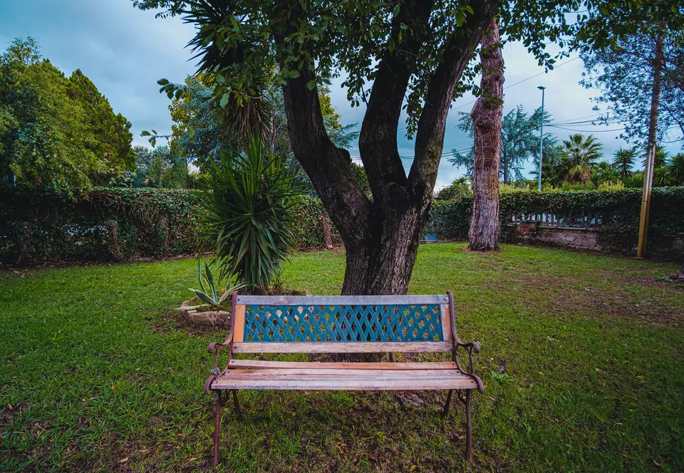 Una panchina all’ombra di un albero nel giardino di Villa Flora
